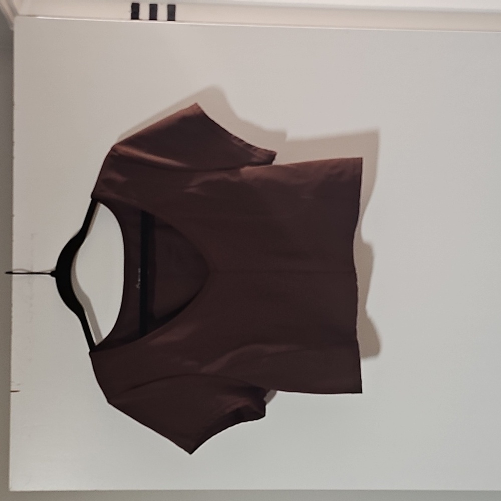 aerie Brown V-Neck Crop Top